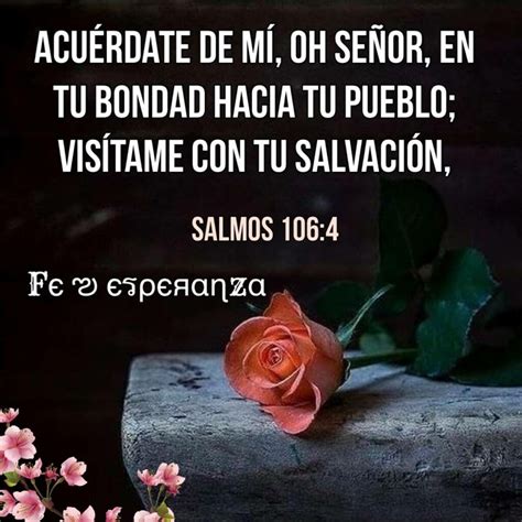 reflexiones católicas bonitas